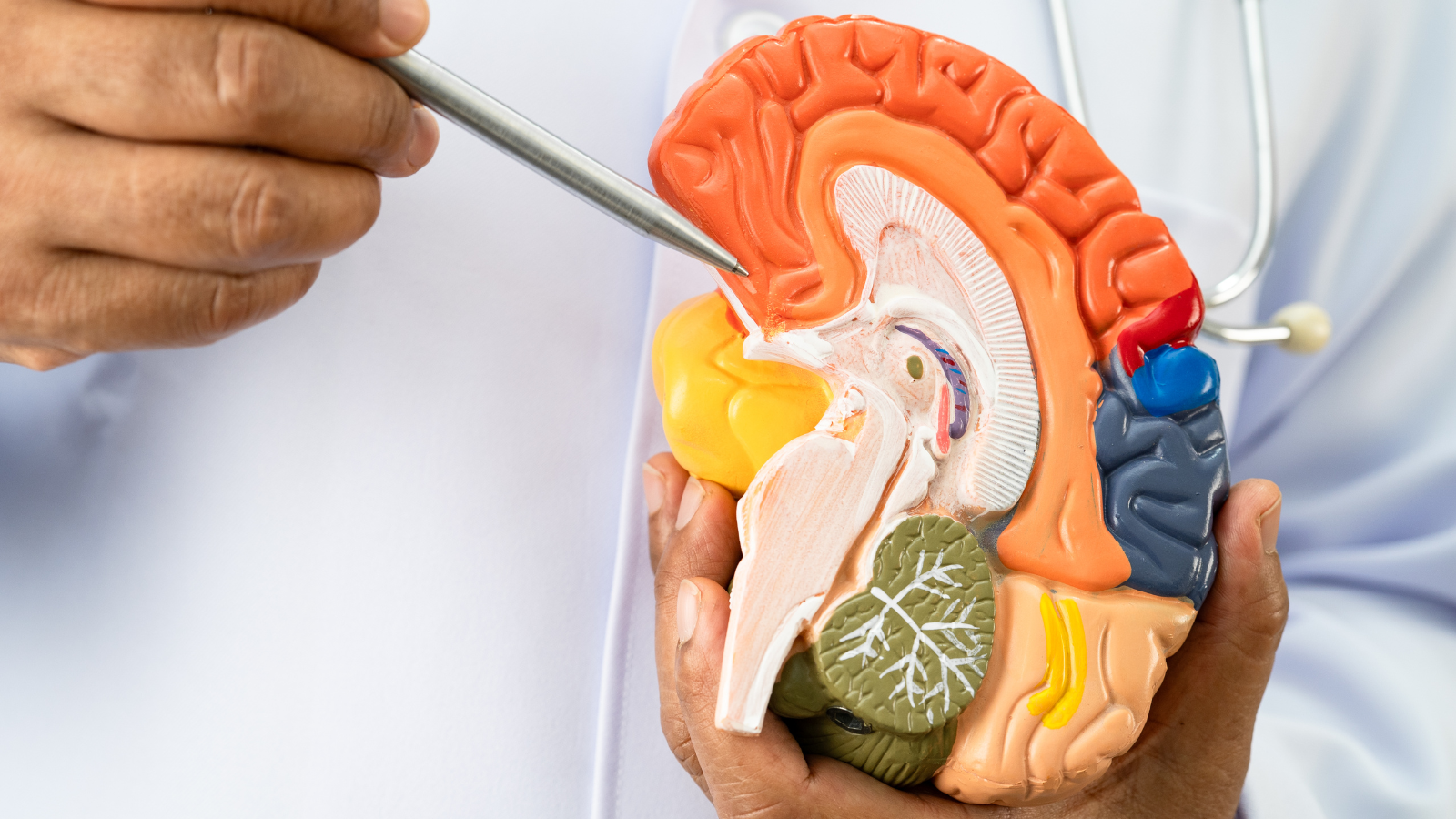 Bệnh Alzheimer có di truyền không mối bận tâm của nhiều gia đình