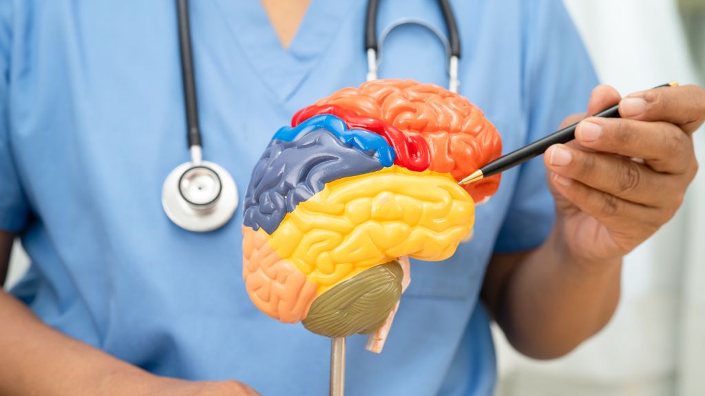 Bệnh Alzheimer ở người trẻ tuổi là tình trạng hiếm gặp