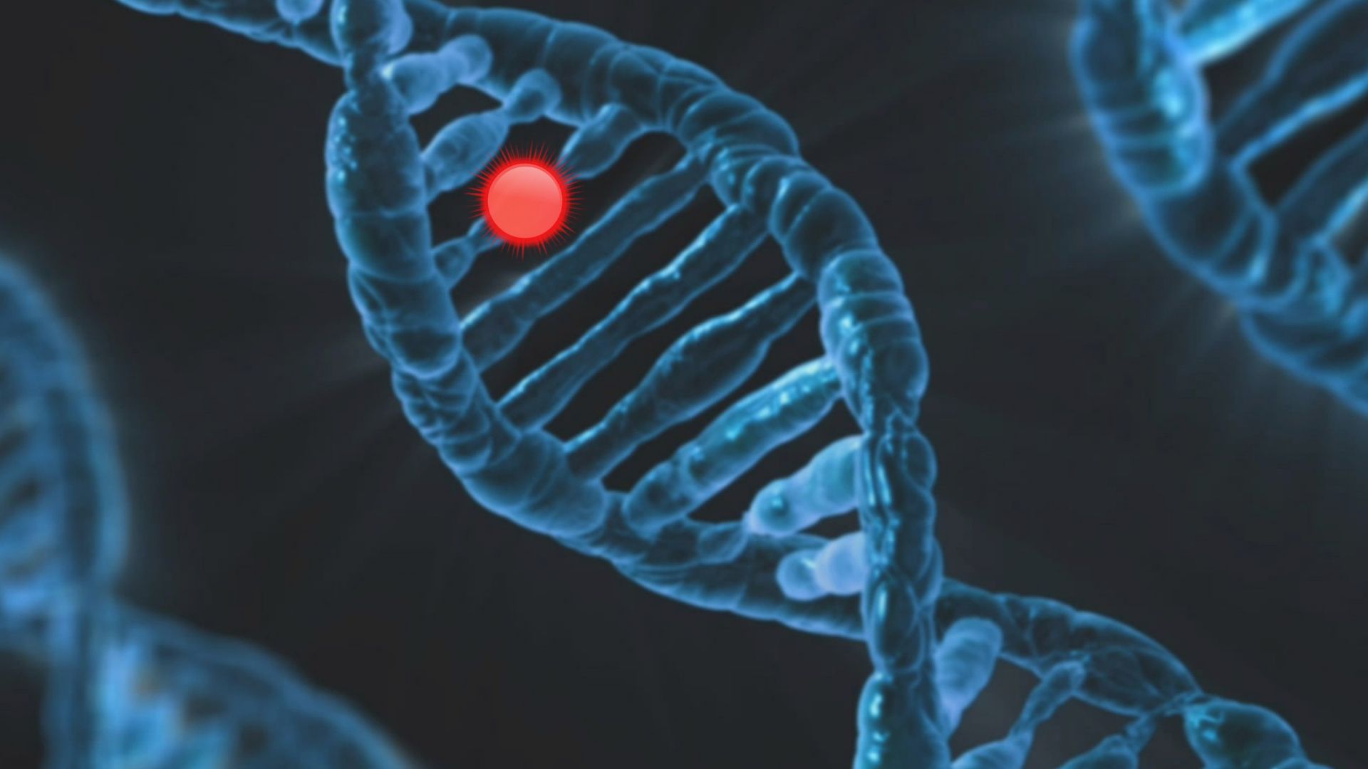 Bệnh lý bạch cầu lympho mãn tính có yếu tố di truyền