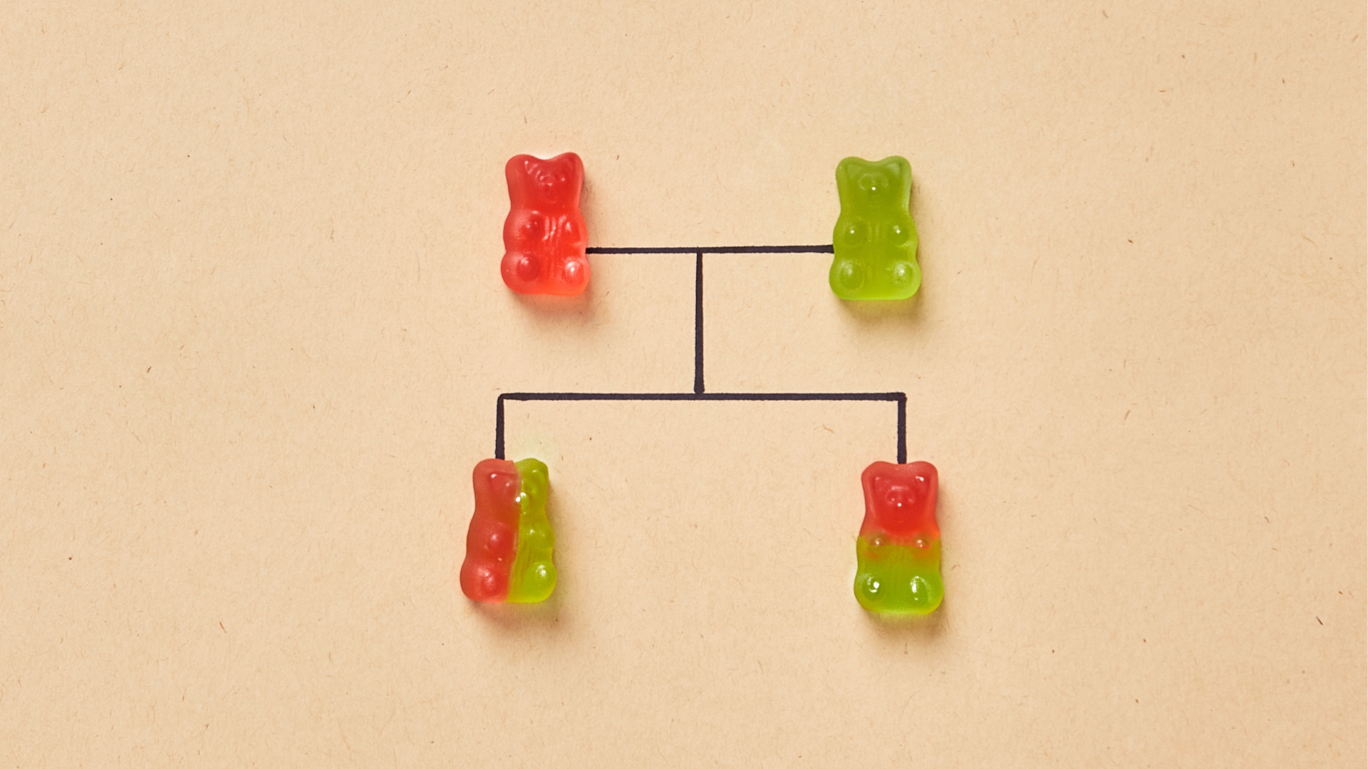 Bệnh bạch tạng có di truyền không là câu hỏi mà nhiều người thắc mắc khi tìm hiểu về rối loạn sắc tố này