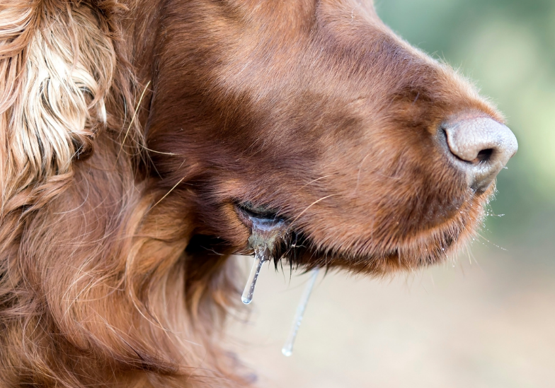 benh-dai-lay-qua-duong-nao-nhung-dieu-can-biet-de-bao-ve-ban-than 1.png