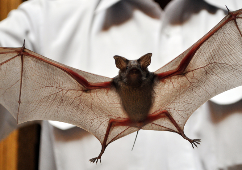 benh-dai-lay-qua-duong-nao-nhung-dieu-can-biet-de-bao-ve-ban-than 2.png