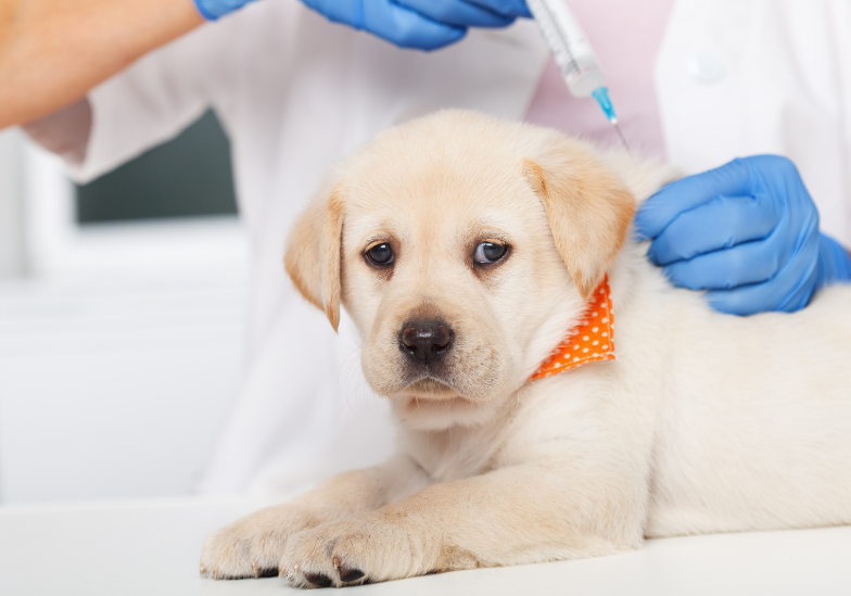 benh-dai-lay-qua-duong-nao-nhung-dieu-can-biet-de-bao-ve-ban-than 4.png