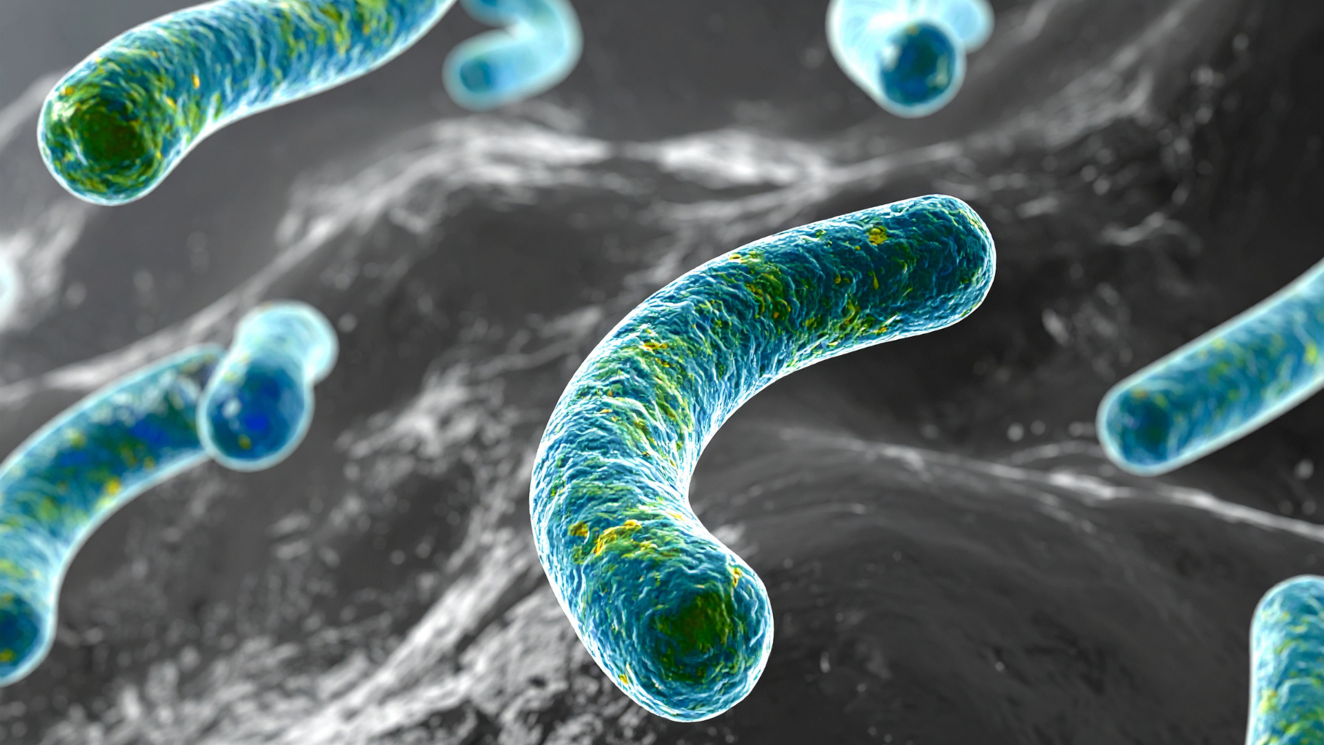 Bệnh lậu có tái phát lại không? Phân biệt tái phát và tái nhiễm