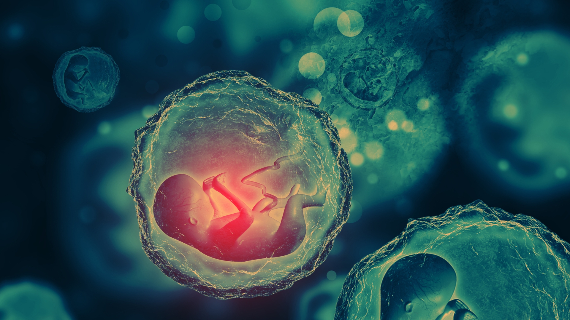 Bệnh lupus ban đỏ có sinh con được không? Điều mẹ bầu cần biết 3