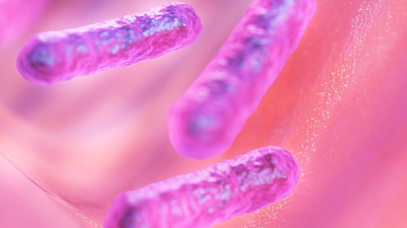 Bệnh lỵ trực trùng: Dấu hiệu nhận biết và cách điều trị 1