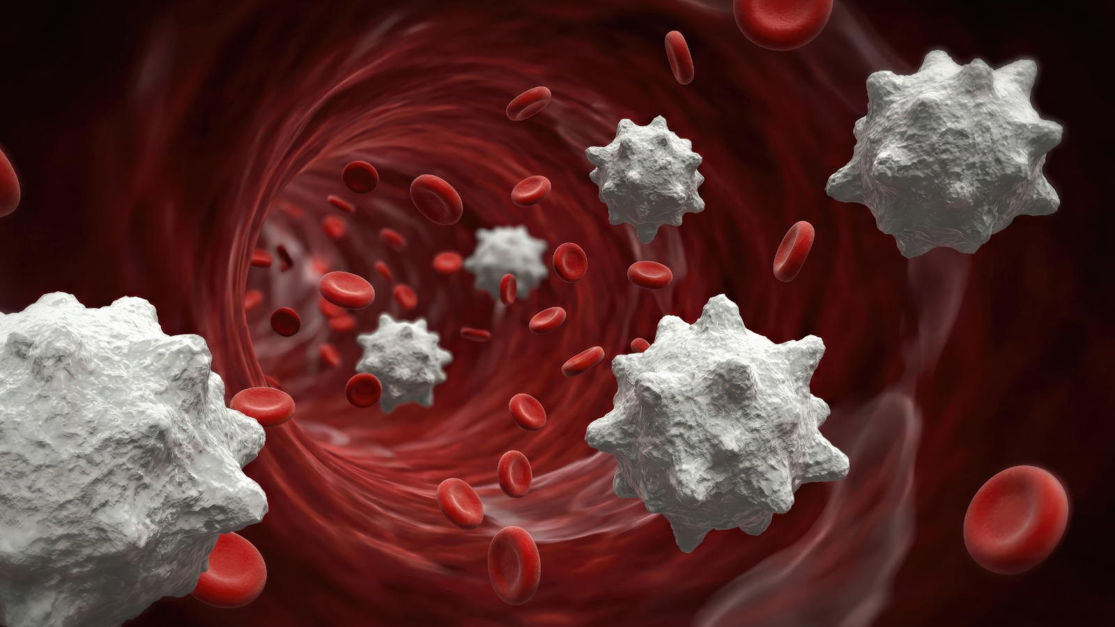 Các tế bào mới sẽ vào tủy xương, sinh sôi và bắt đầu sản xuất lại hồng cầu, bạch cầu và tiểu cầu khỏe mạnh