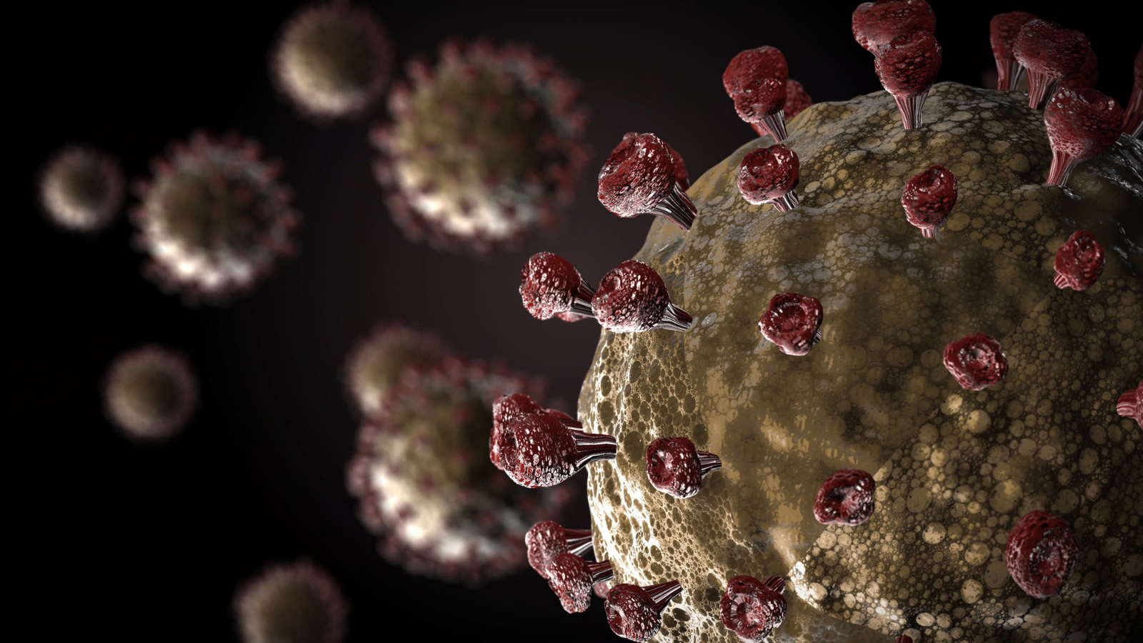 Virus SARS-CoV-2 gây mất khứu giác