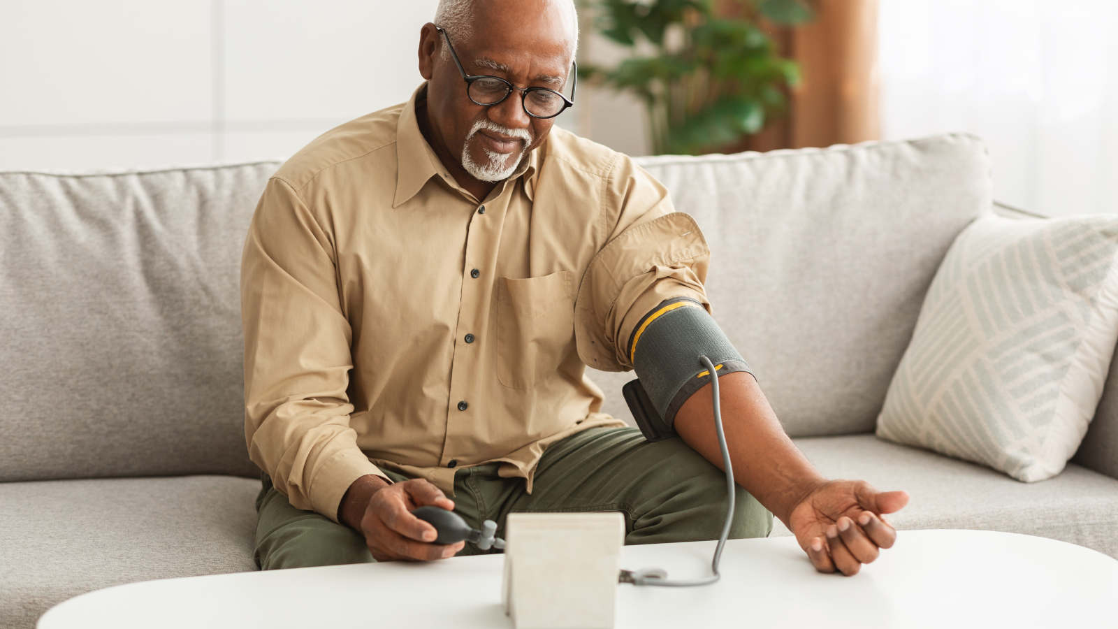 Bệnh nhân cao huyết áp cân nhắc kĩ trước khi sử dụng sâm ngâm mật ong