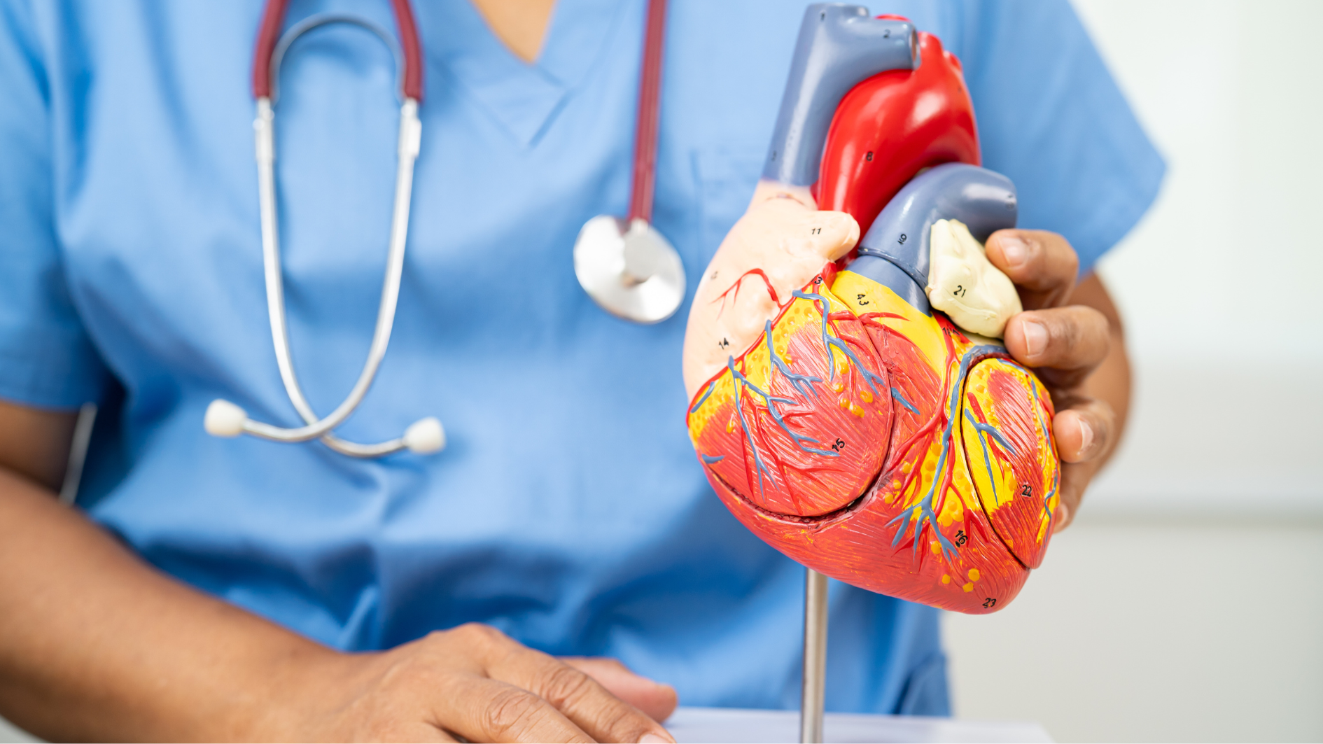 Rối loạn chuyển hóa ảnh hưởng đến sức khỏe tim mạch