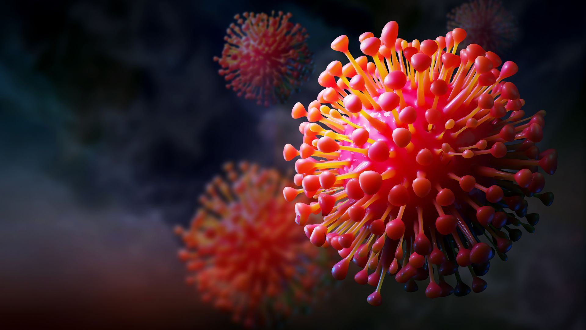 benh-soi-trieu-chung-nguyen-nhan-chan-doan-dieu-tri-va-phong-ngua 2.jpg