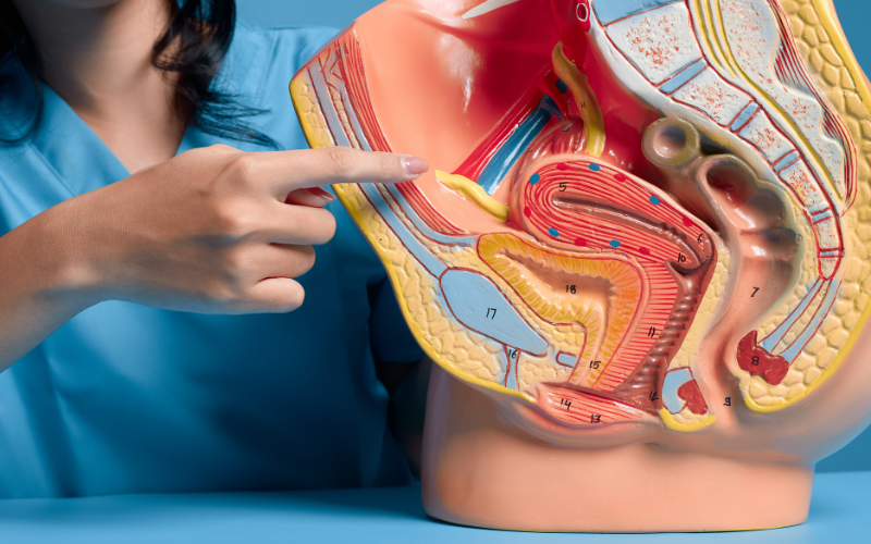 benh-sui-mao-ga-nhe-bieu-hien-nhu-the-nao-dieu-tri-ra-sao-1