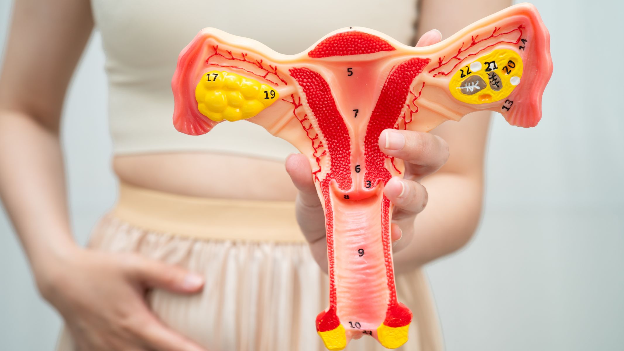 Tổn thương mạch máu tại âm đạo có thể làm giảm tiết dịch bôi trơn tự nhiên, gây khô âm đạo