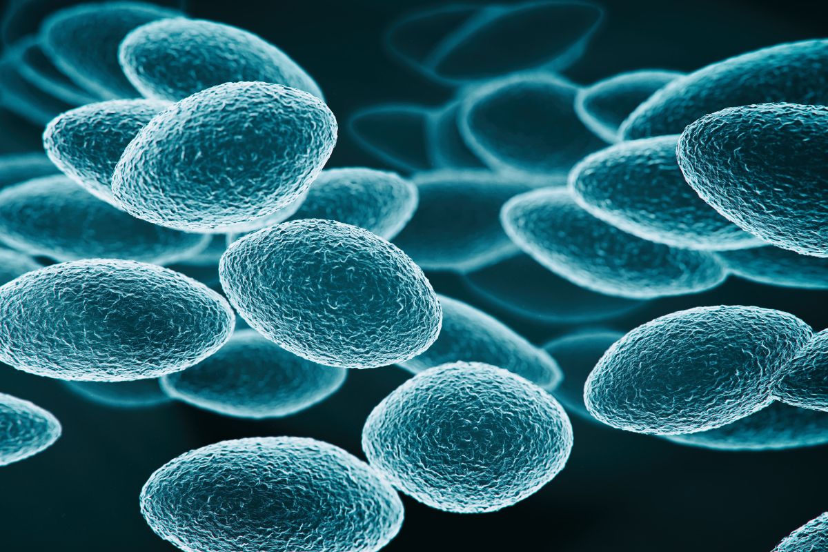 benh-truyen-nhiem-nhom-a-bao-gom-nhung-benh-nao 3.jpg