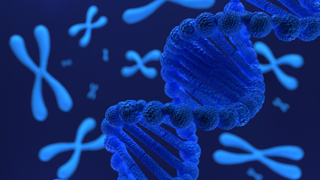 Câu trả lời cho câu hỏi bệnh vô sinh có di truyền không​