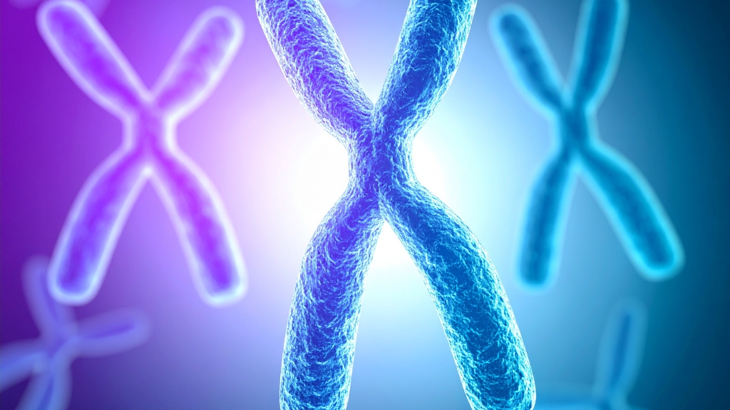 Những yếu tố di truyền phổ biến gây ra tình trạng vô sinh ở nam giới và nữ giới