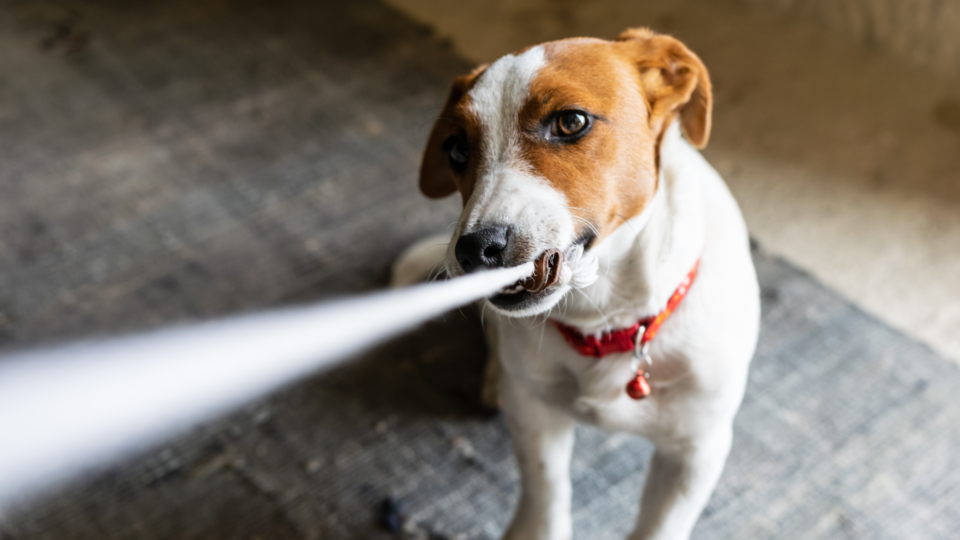 bi-cho-can-co-kieng-quan-he-khong 2.png