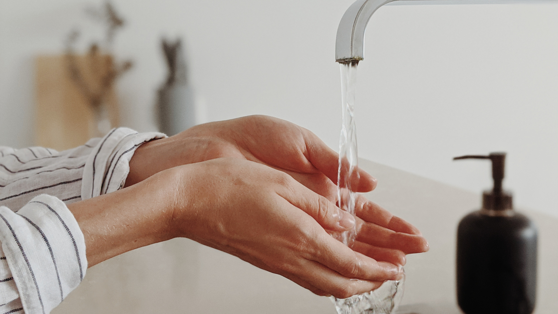 bi-cho-can-khong-chay-mau-chi-bi-bam-co-sao-khong 4.png