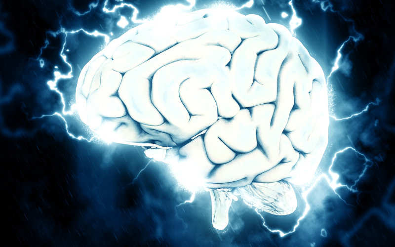 bi-cho-can-khong-chich-ngua-co-sao-khong-4