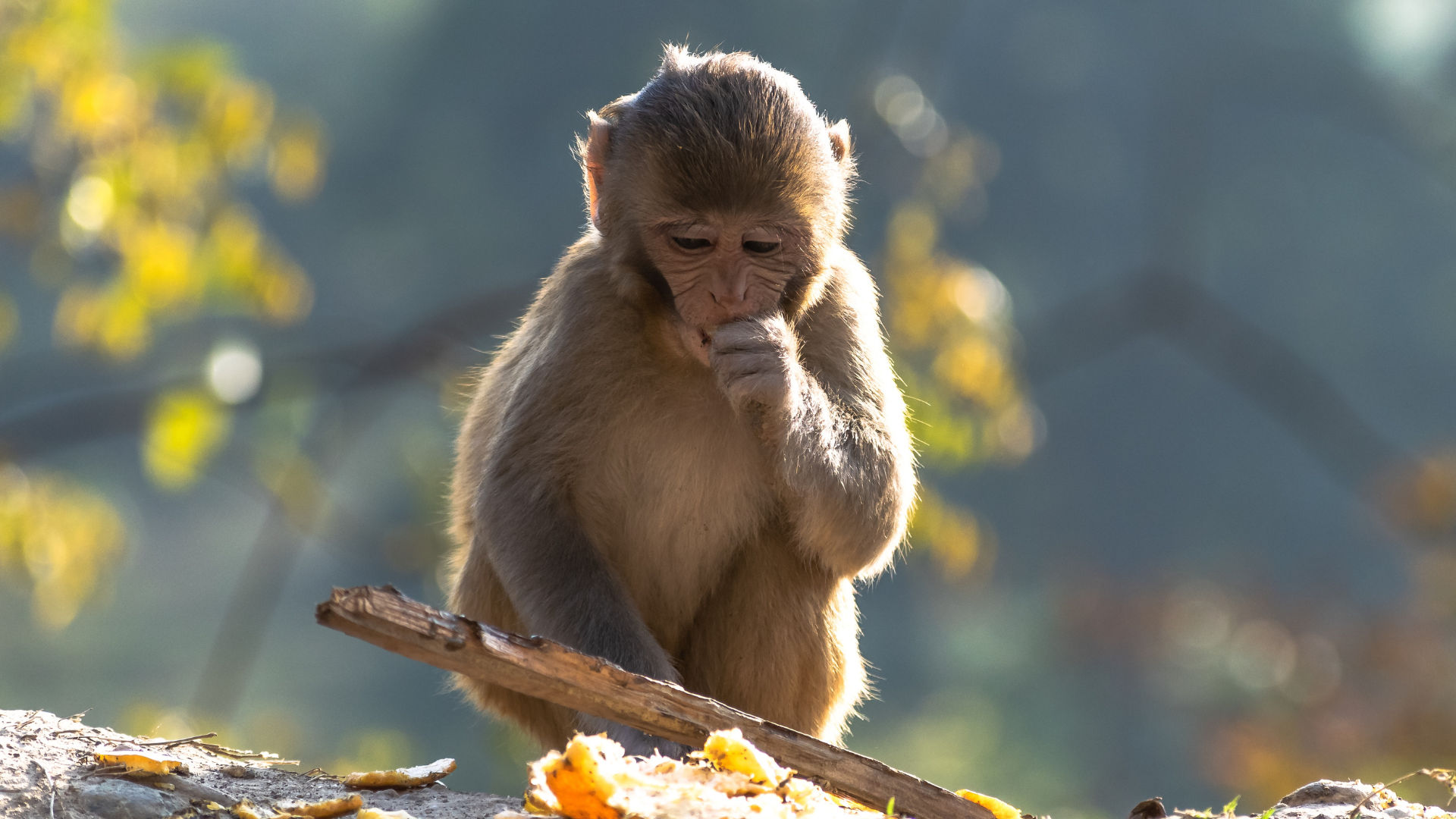 bi-khi-can-co-sao-khong 01.png