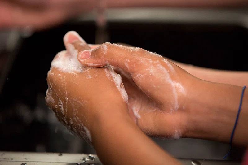 Bị kiến ba khoang cắn có sao không? Dấu hiệu nhận biết và cách phòng tránh hiệu quả 3