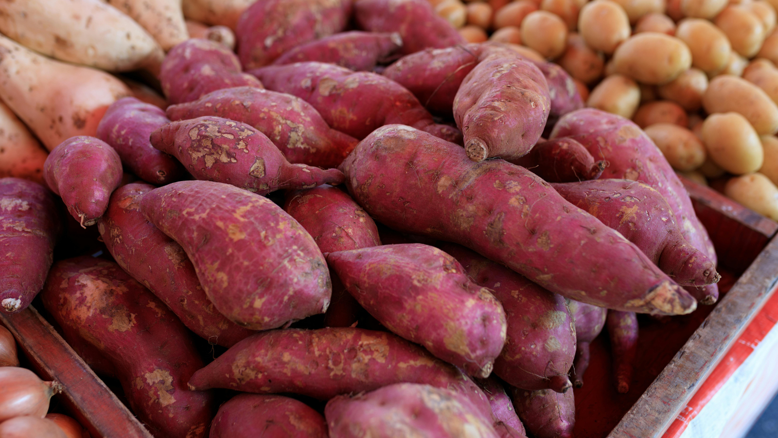 Nên tránh các loại củ giàu tinh bột