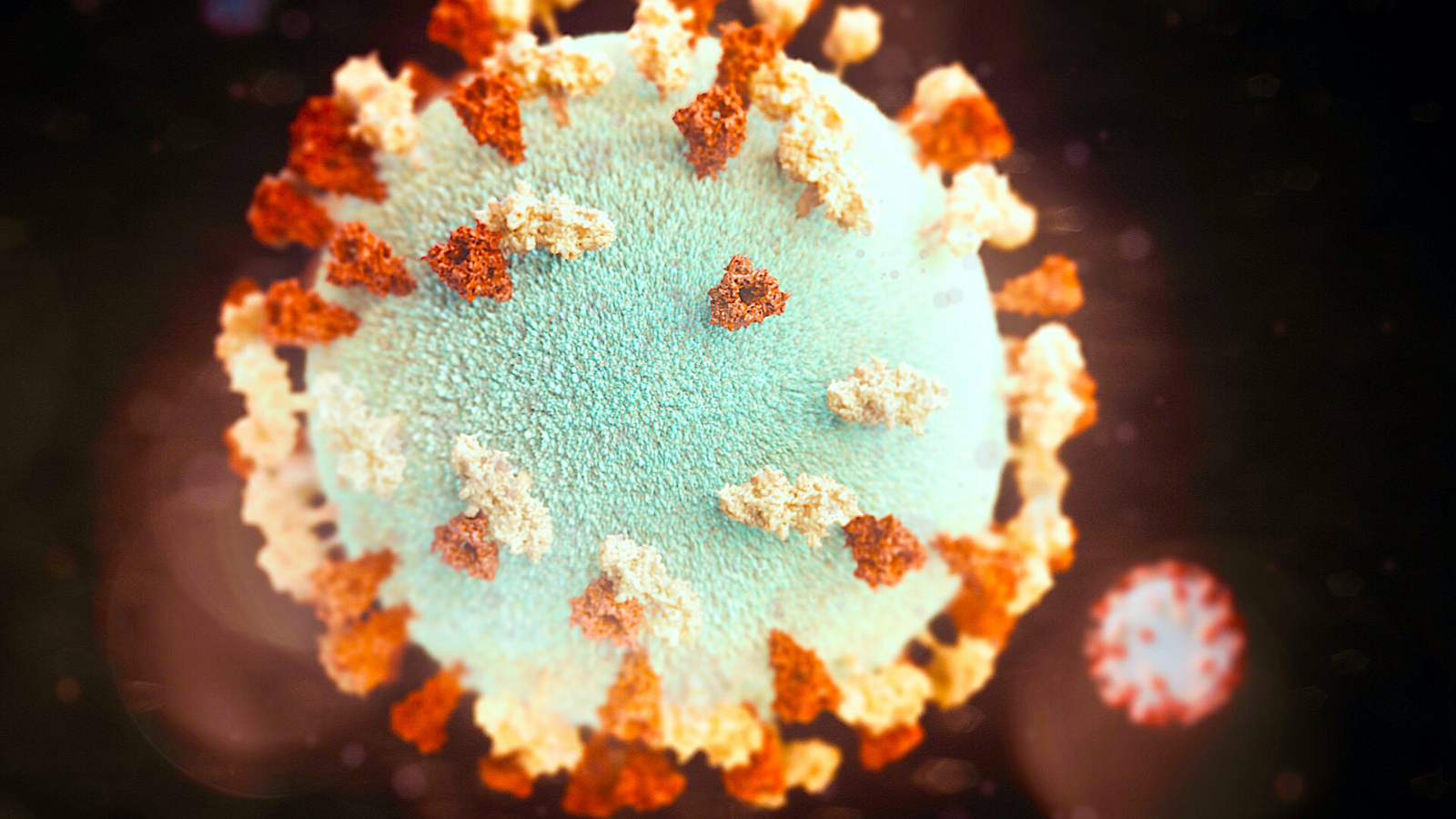 bi-quai-bi-uong-thuoc-gi-nhung-dieu-can-biet-ve-benh-quai-bi 3.png