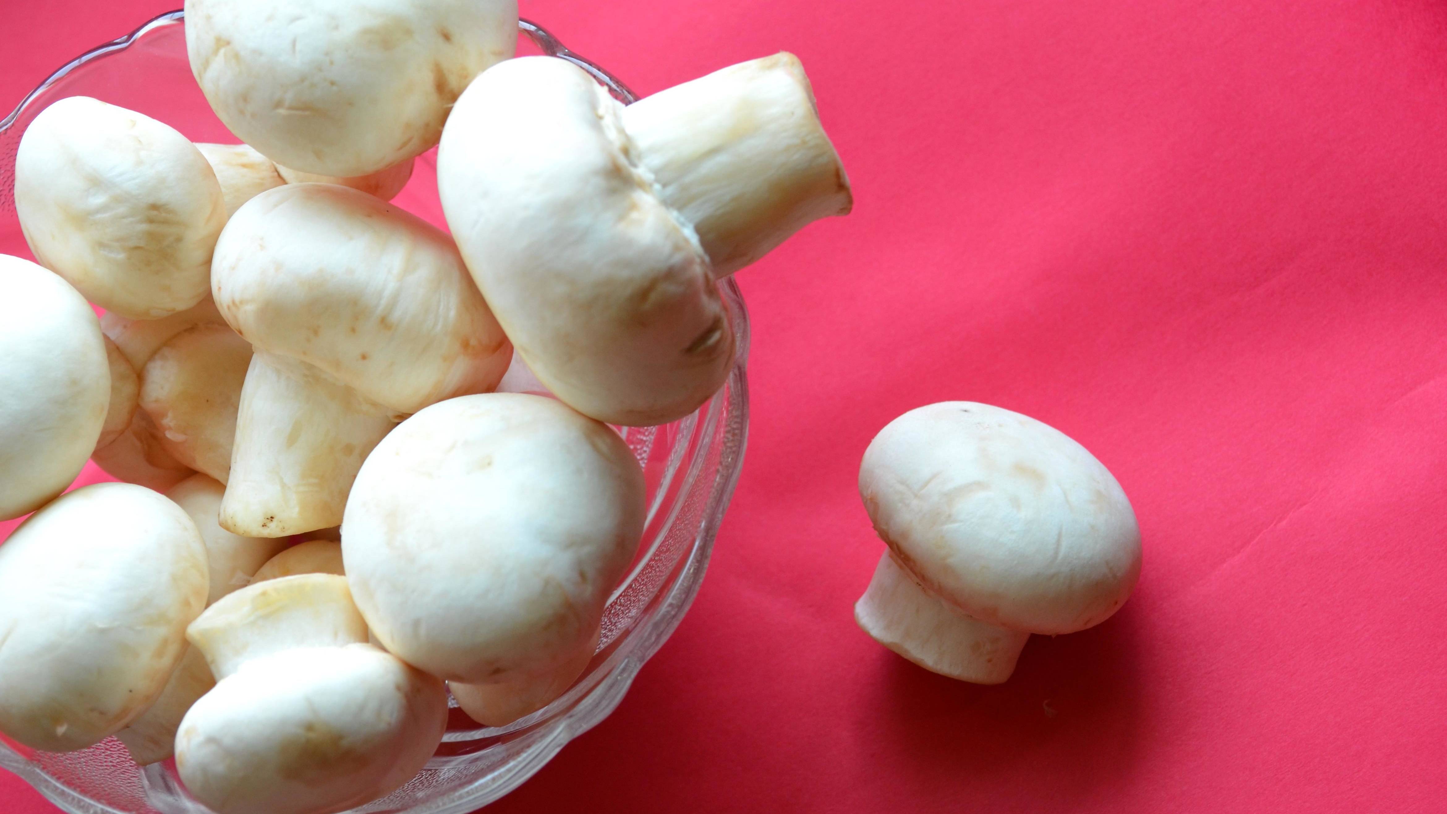 Protein như nấm ít gây viêm hơn protein động vật