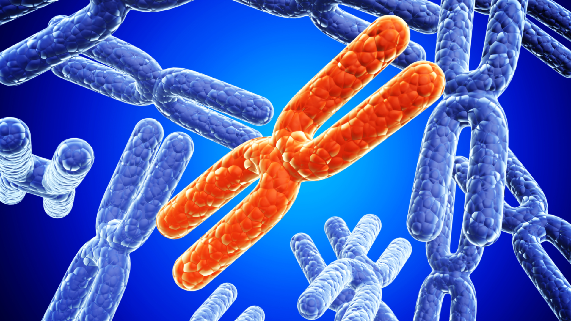 Phân loại thiếu men G6PD