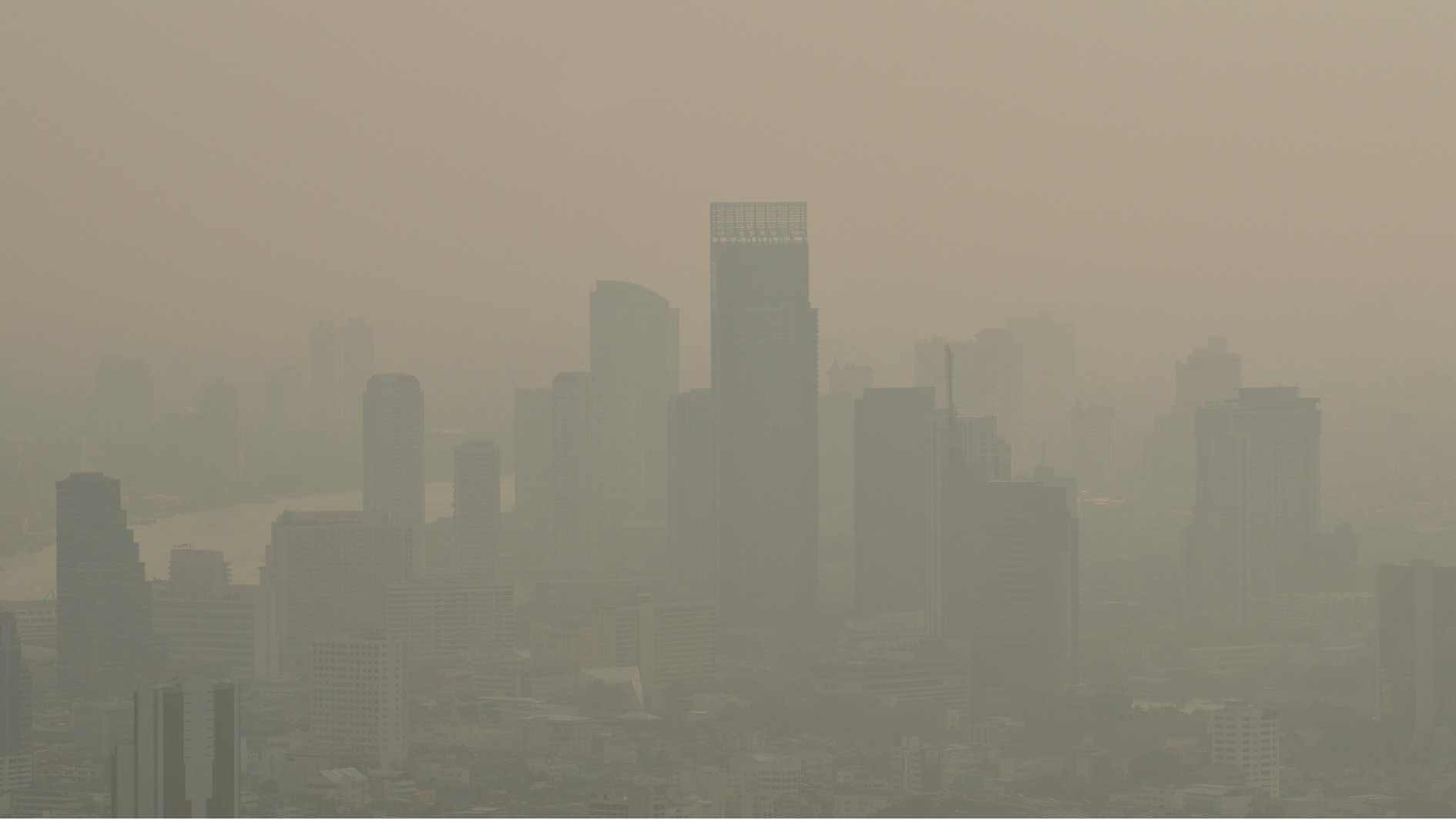 Bụi mịn PM2.5 rất nguy hiểm vì kích thước nhỏ giúp chúng dễ dàng vượt qua hàng rào bảo vệ tự nhiên của cơ thể