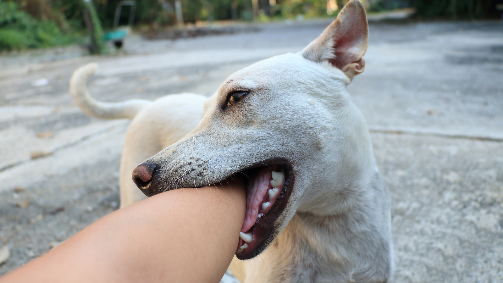 cac-bien-phap-bao-ve-tinh-mang-khi-benh-dai-tang-cao 1.png