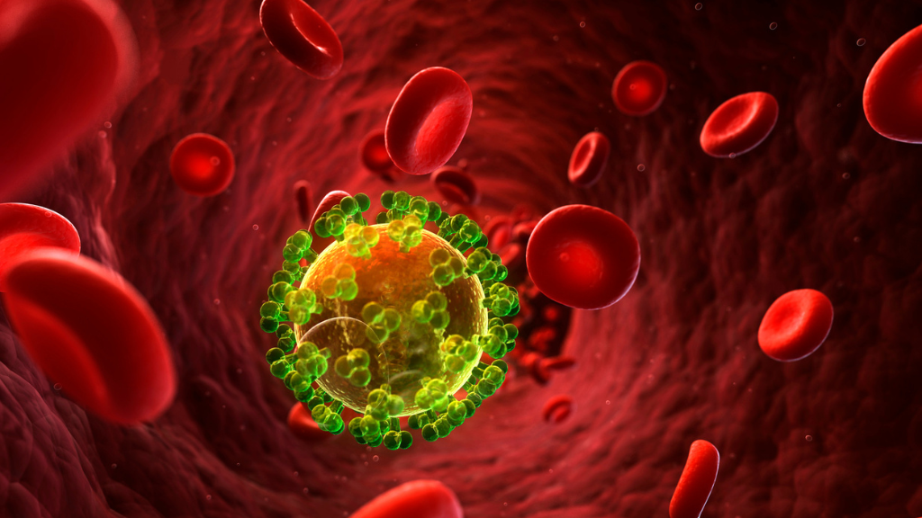 HIV (Human Immunodeficiency Virus) là virus gây suy giảm miễn dịch ở người