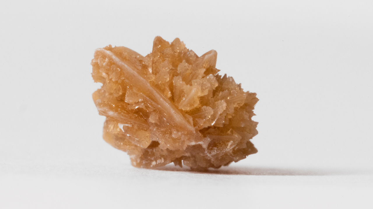 Sỏi oxalate canxi thường có màu sẫm, cấu cứng, sắc cạnh