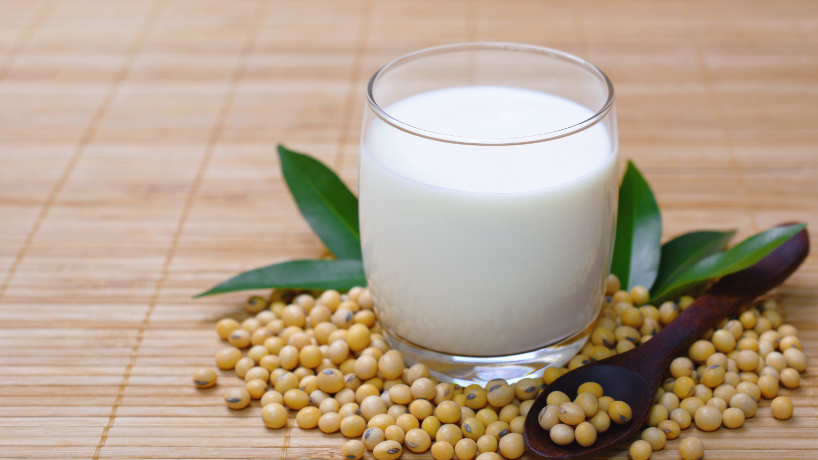 Sữa đậu nành là loại sữa lâu đời và phổ biến nhất
