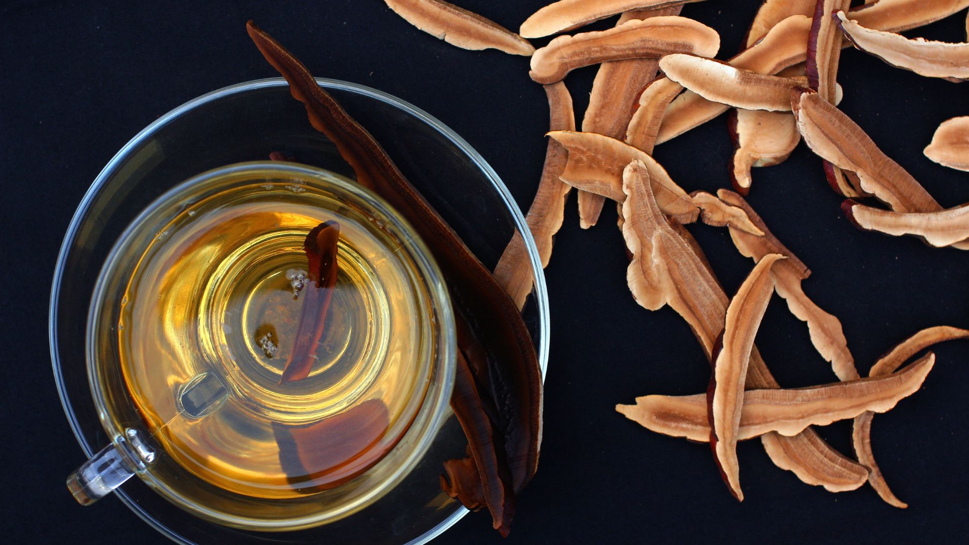 Trà linh chi là một loại trà thảo mộc mang lại nhiều lợi ích cho sức khỏe, nổi bật với khả năng hỗ trợ giảm mỡ máu