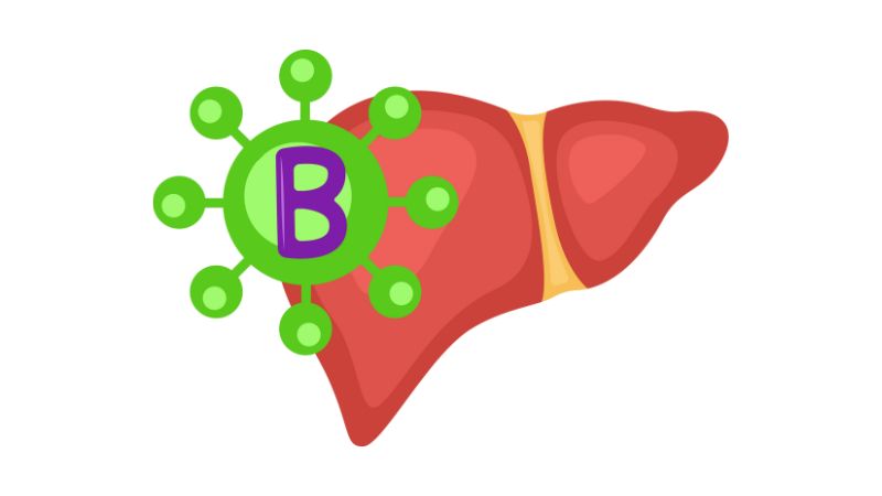 Virus viêm gan B có thể tồn tại lâu dài và tiến triển thành viêm gan mạn tính