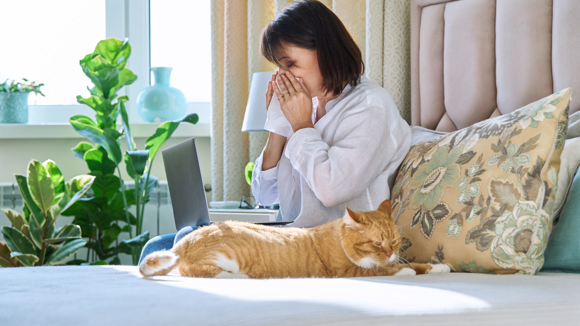 Các triệu chứng của viêm mũi dị ứng và biện pháp phòng ngừa 2