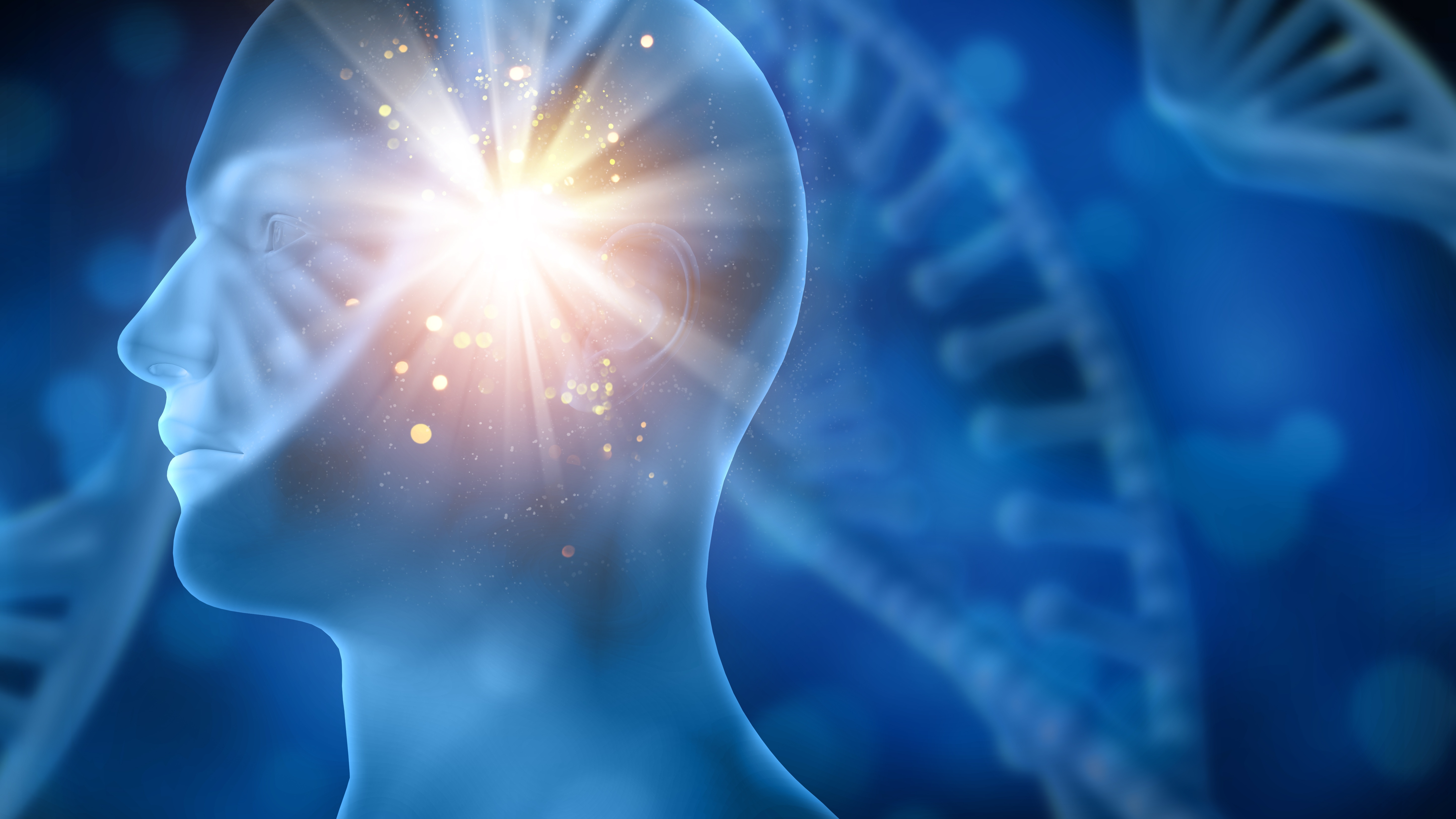 Cacao có tác dụng gì với não bộ là câu hỏi được rất nhiều người quan tâm