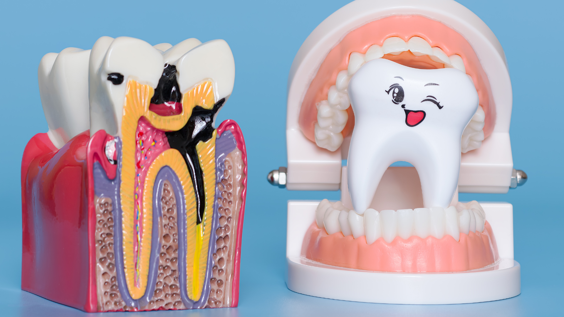 Dụng cụ vệ sinh răng miệng và kem đánh răng có fluoride