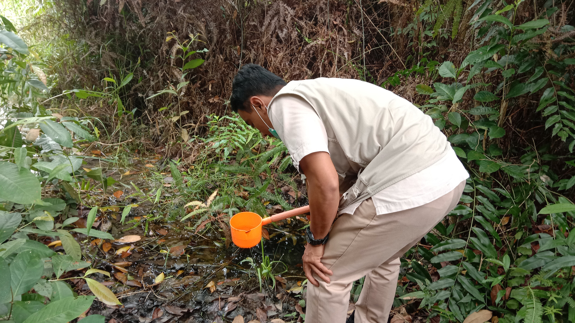 Việc diệt lăng quăng cần kết hợp nhiều biện pháp