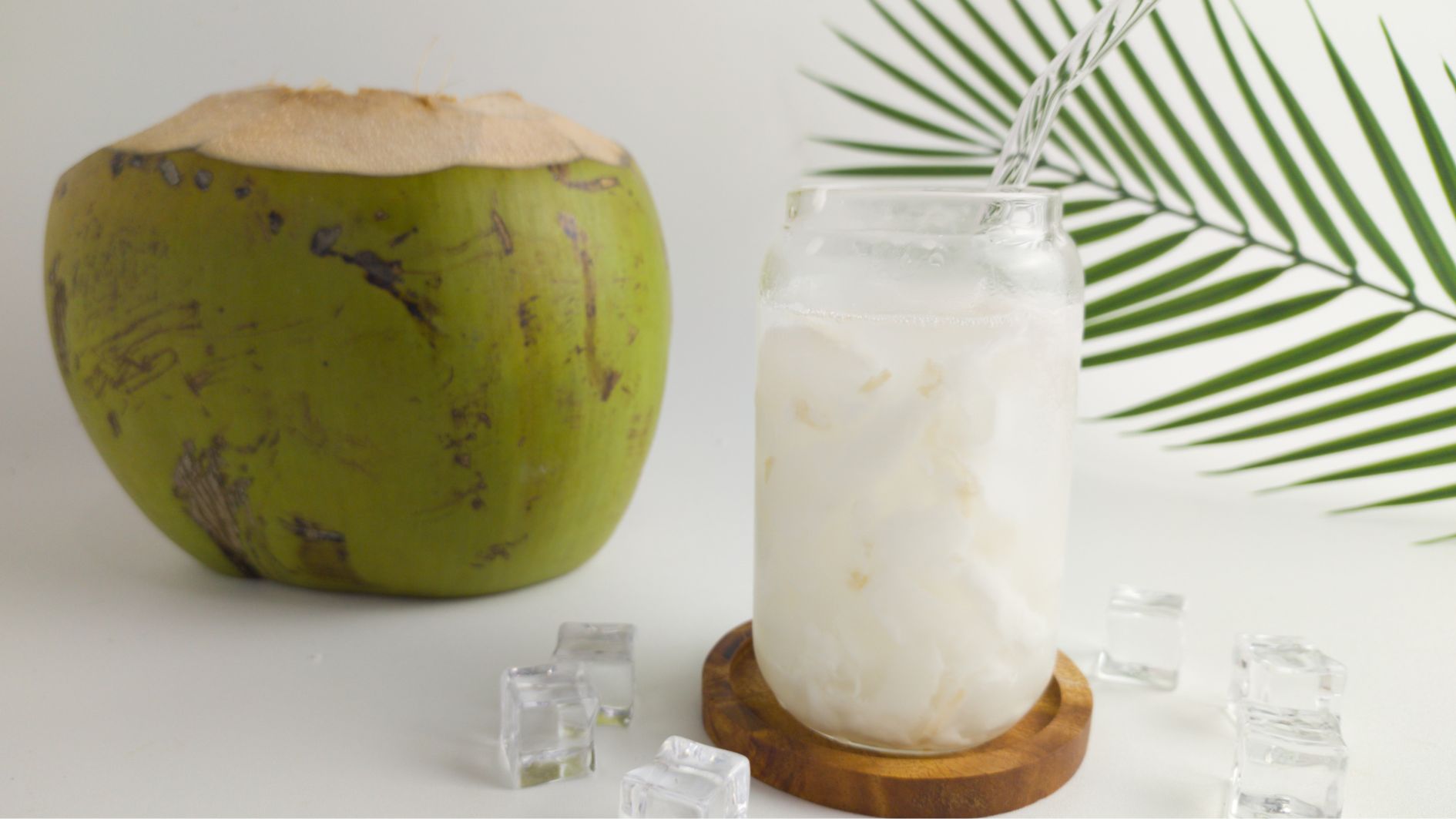 Nước dừa tươi giúp bù nước, cân bằng điện giải và hỗ trợ cơ thể giảm nhanh cảm giác say rượu