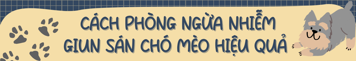 Cách phòng ngừa nhiễm giun sán chó mèo hiệu quả cho trẻ nhỏ
