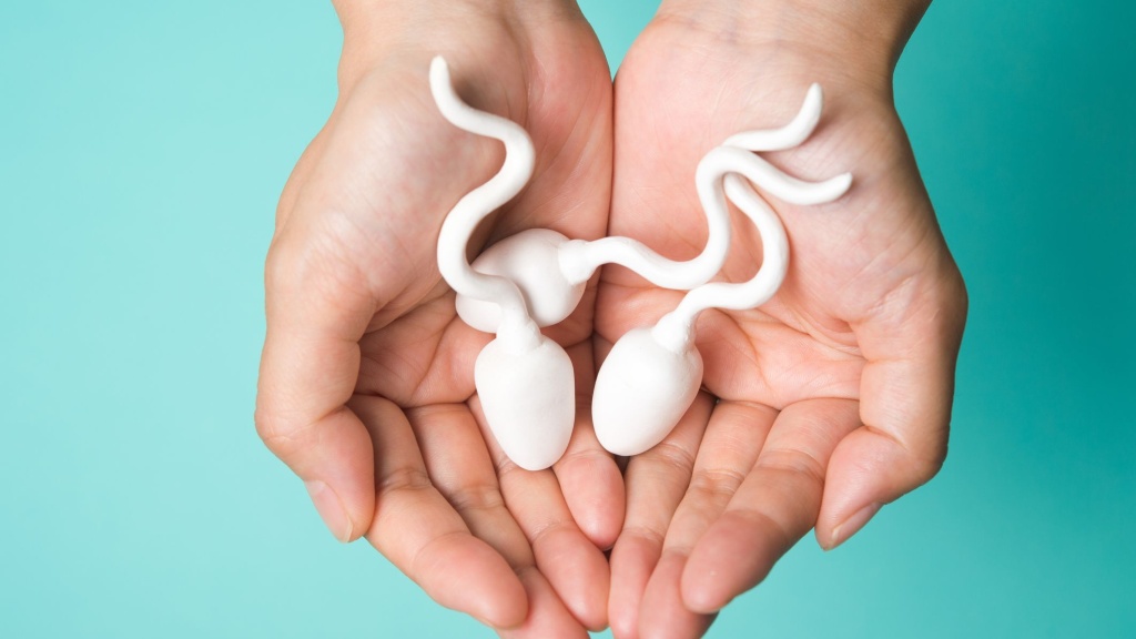 Cách phục hồi tinh trùng nhanh cho nam giới hiệu quả và an toàn 3