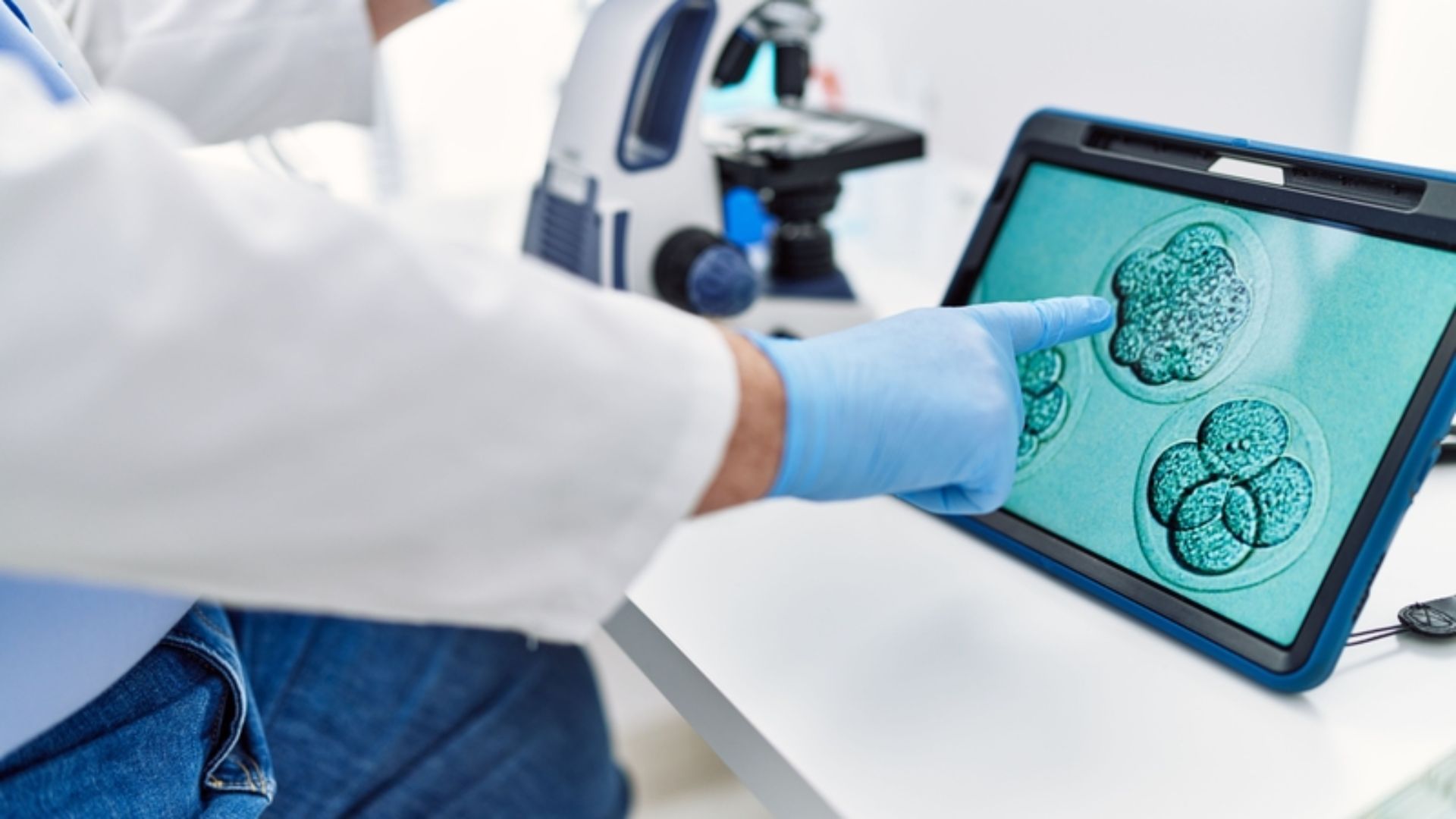 Chất lượng phôi là yếu tố ảnh hưởng đến độ chính xác khi tính tuổi thai IVF