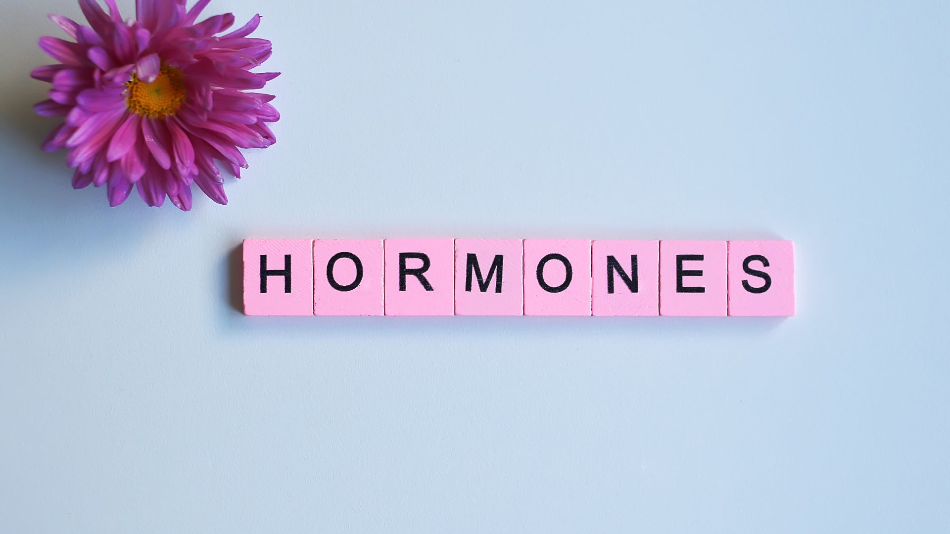 Hormone thai kỳ có thể làm giãn cơ trơn niệu quản dẫn đến thận ứ nước