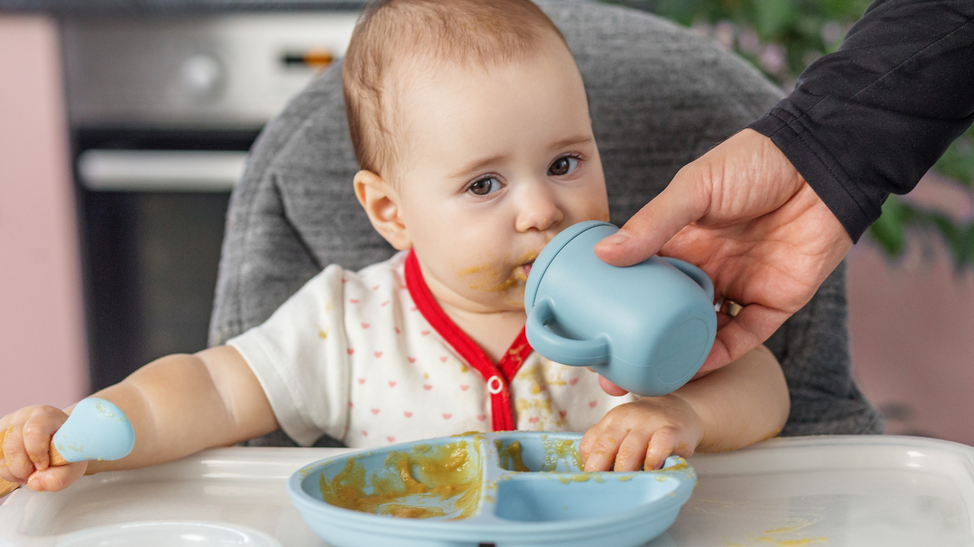 Trung bình bé 10 tháng nên ăn khoảng 5 - 6 bữa/ngày (bao gồm cả bữa chính và bữa phụ)