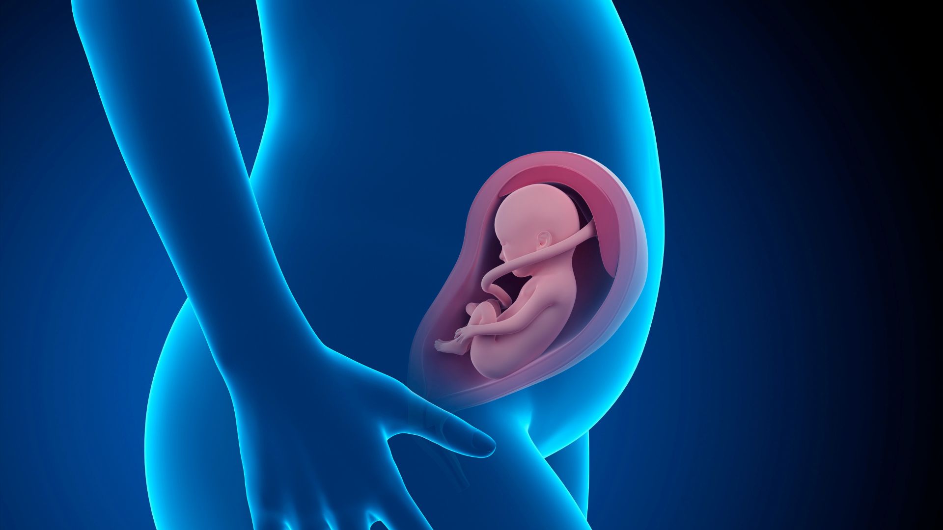 Tử cung phát triển khi thai nhi lớn lên là nguyên nhân chính gây căng tức bụng