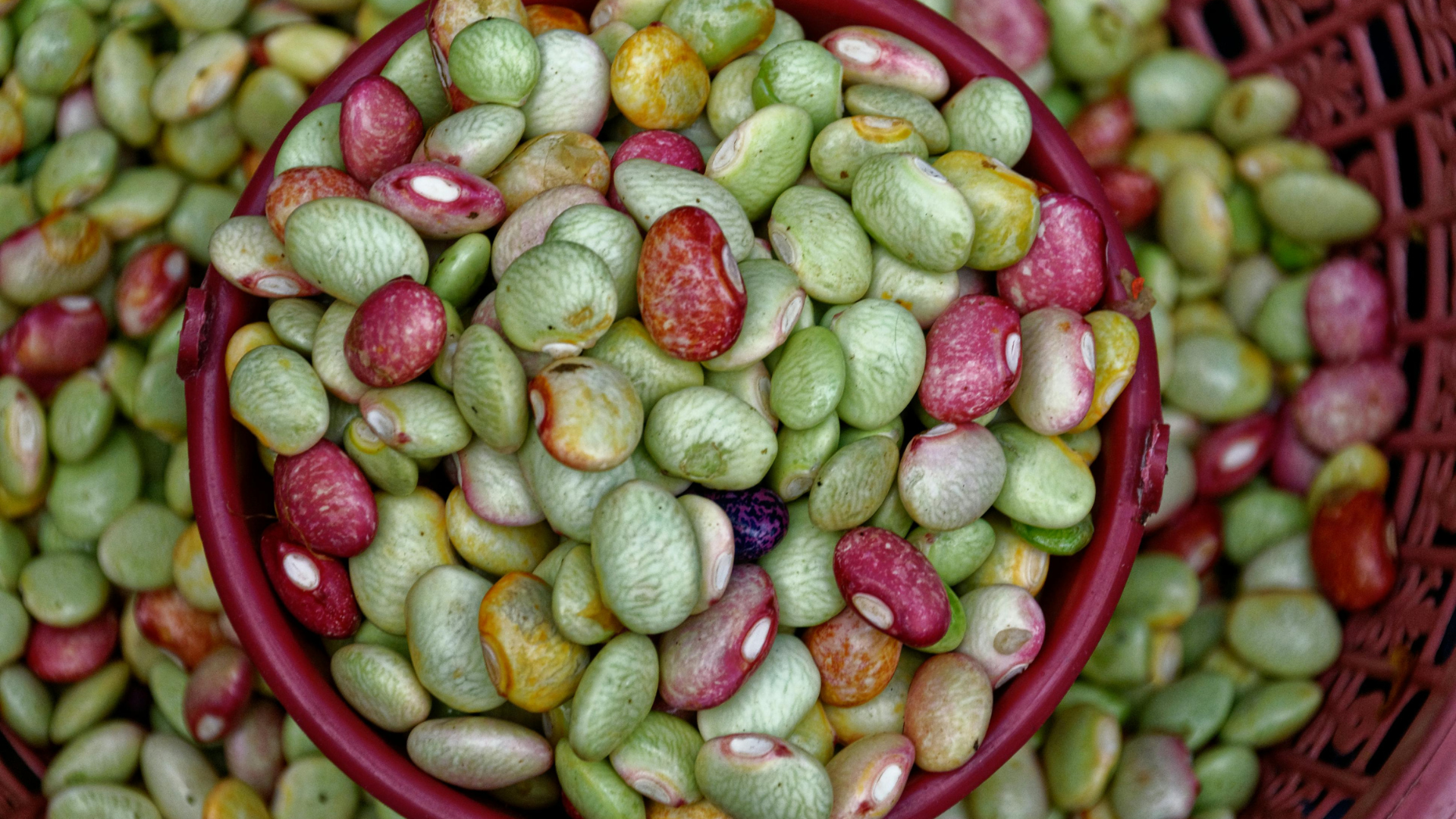 Các loại hạt và đậu tuy giàu dinh dưỡng nhưng cũng là nguồn oxalat đáng lưu ý