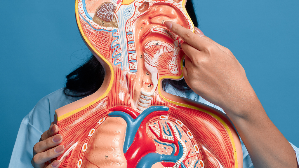 Cắt polyp mũi có đau không? Những điều cần biết trước khi quyết định phẫu thuật 4