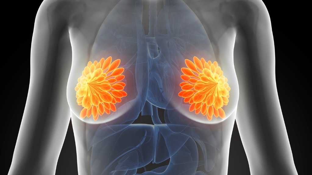 Thế nào là ngực bình thường và khỏe mạnh?